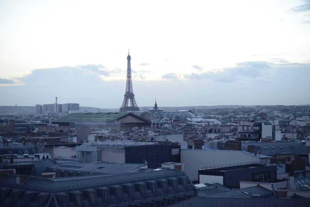 A wide view over the grey zinc rooftops of Haussmann buildings in Paris with the Eiffel Tower visible under an overcast sky.